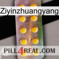 Ziyinzhuangyang new11